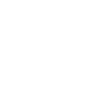 logo ALIDOR