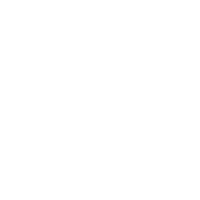 logo LEMN DEPO