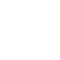 logo PAECO VISION