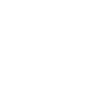 logo Ecostone