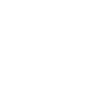 logo META WHEALTH