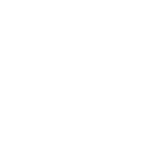 logo RAVAGO