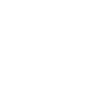 logo BDM