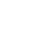 logo RAWLPLUG