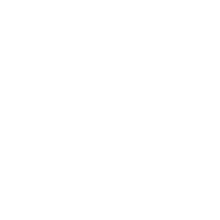 logo Regulus