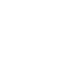 logo BDM acoperiș sănătos