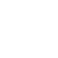 logo BDM izolații sănătoase