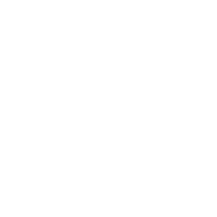 logo BDM tâmplărie sănătoasă