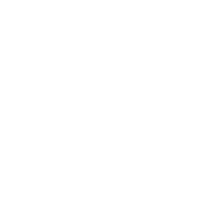 logo ECOSTONE