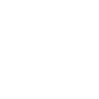 logo Pirnar