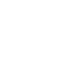 logo Transilvania Business